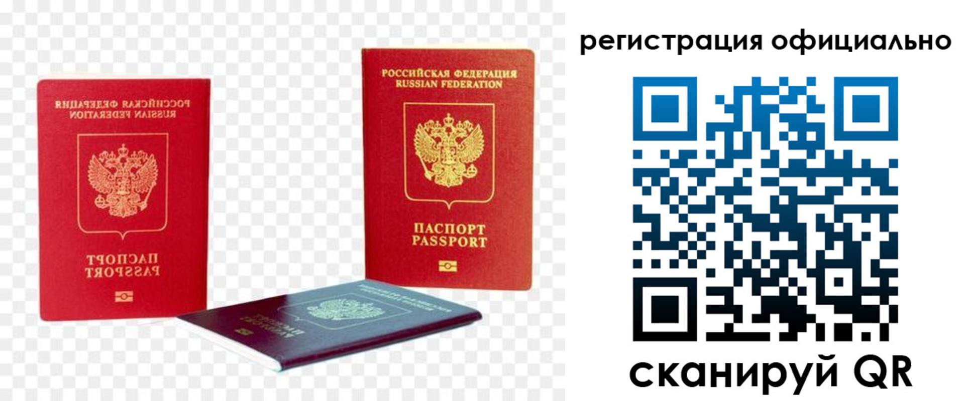 прописка законно в Звенигово
